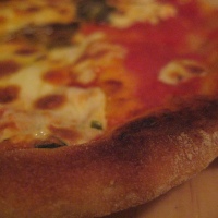 Pizza Margherita...kinda sorta